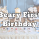 Beary First Birthday party