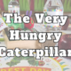 The Very Hungry Caterpillar Party