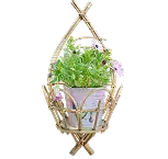 Macrame Wall Hanging Kit